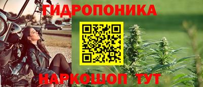 гашик Бугуруслан