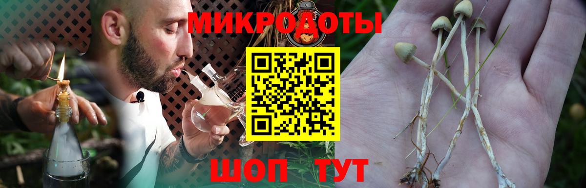 Галлюциногенные грибы Psilocybine cubensis  Вход с VPN  Псилоцибиновые грибы мицелий  Саранск 